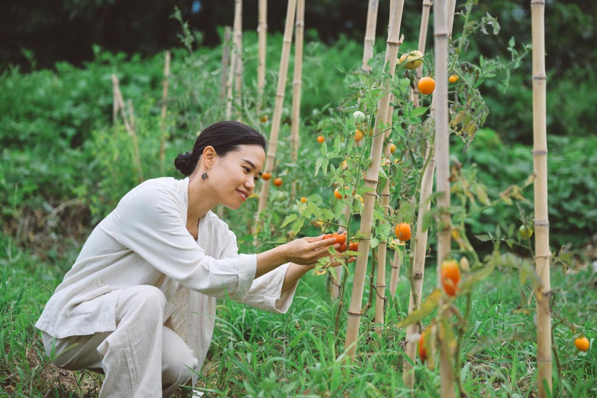 Eighten Private Guesthouse Yoga Retreat 1日1組限定古民家宿エイテン Hokuto  Exterior photo